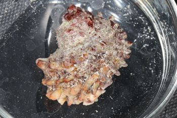 Media type: image;   Malacology 393771 Description: live specimen;